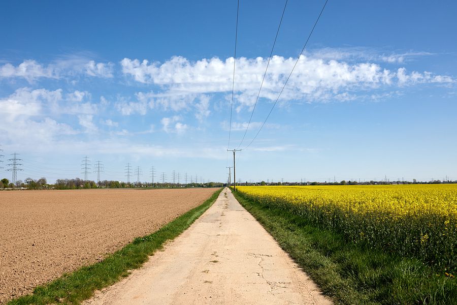 Landschaft bei Neuss Allerheiligen