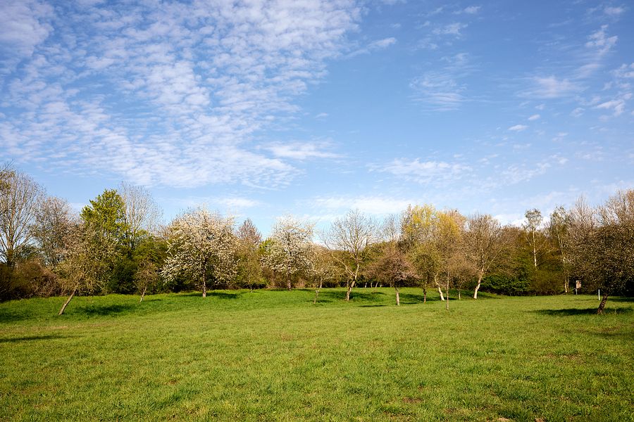 Landschaft bei Dormagen